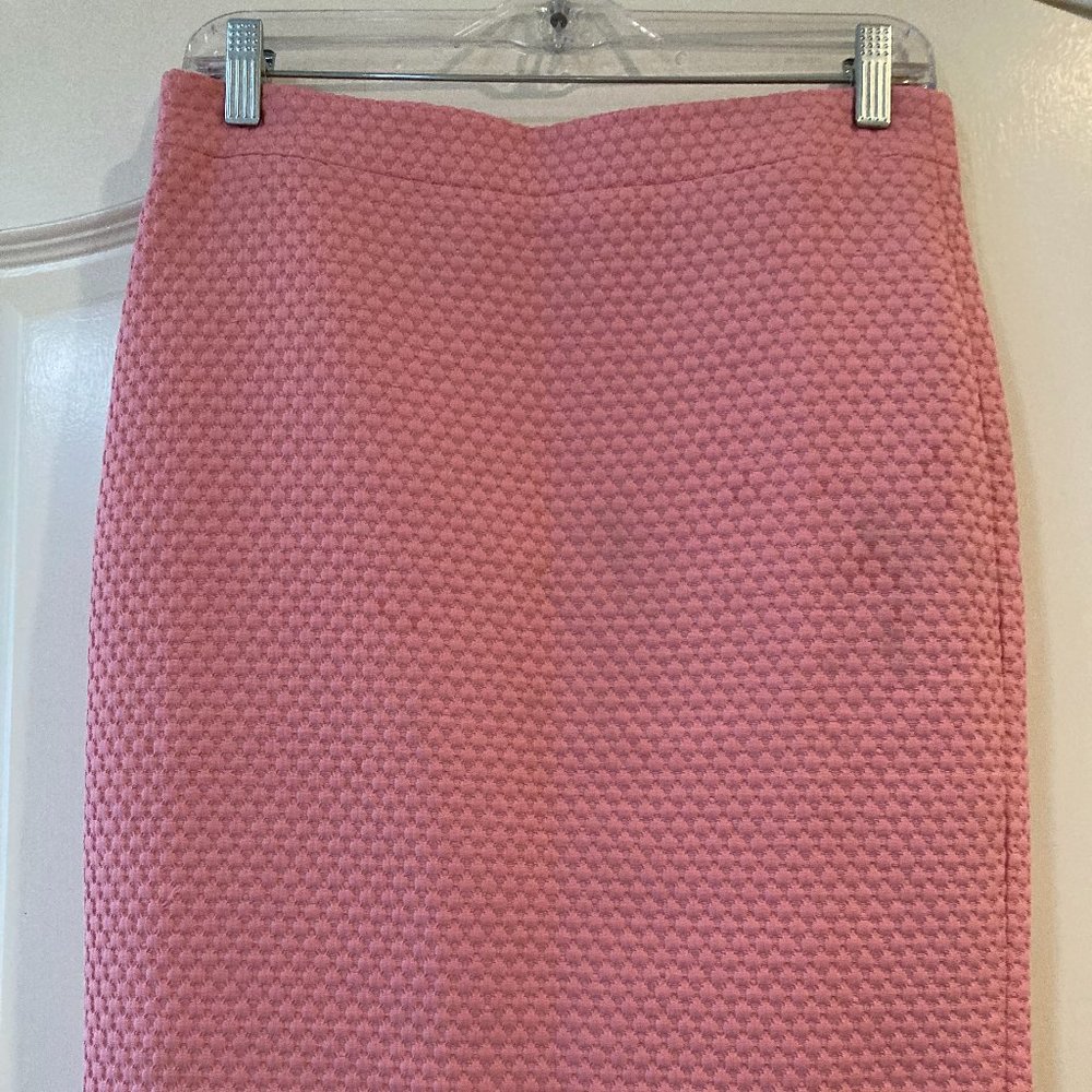 J. Crew Skirt